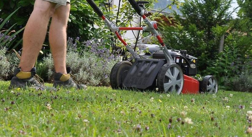 Nem is hinnéd, mikor történik a legtöbb kertészeti baleset