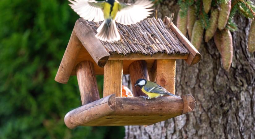Áprilistól ezt már ne tedd se a kertben, se az erkélyen – inkább ártasz vele, mint segítesz