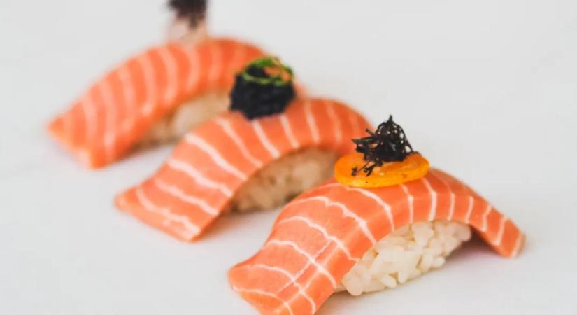 Bioreaktor az új halastó? Megérkezett a laborban növesztett lazac