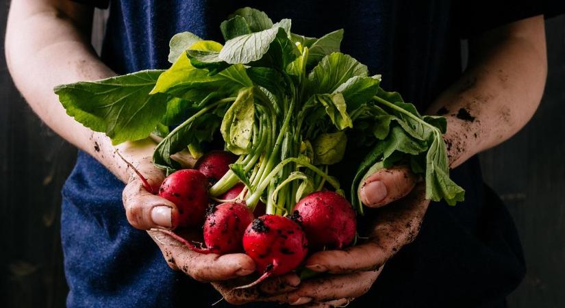 Milliárdos támogatás jut a tanyák infrastrukturális fejlesztésére