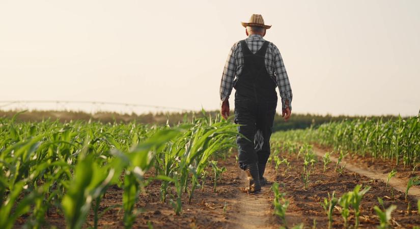 5%-os zöldségáfa, egymilliárd forint tíz falunként – itt a TISZA program