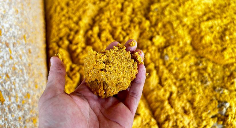 Beindult a biznisz a braziloknál: új piacra törtek be ezzel a termékkel