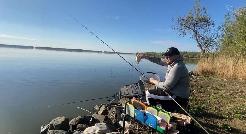 Csodapeca a Tisza-tavon: egymás után húzta ki a gyönyörű halakat a tározóból a horgász – videóval