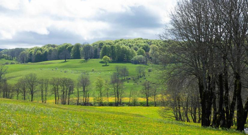 Változékony április: enyhe melegedés és esős napok is jönnek