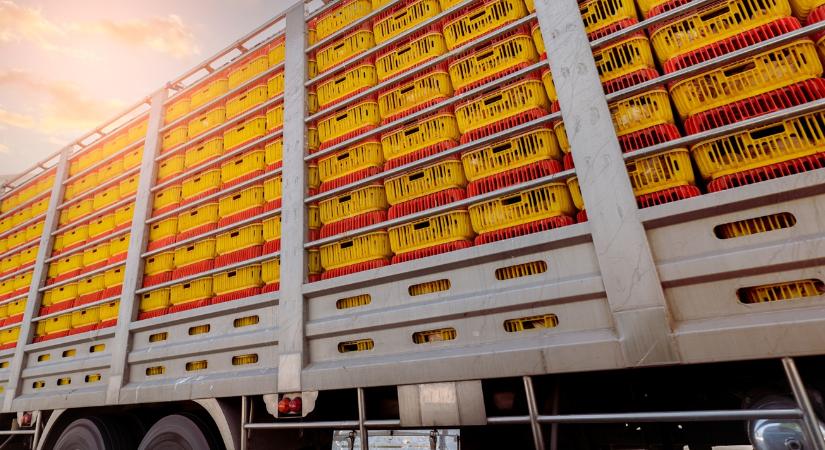 Olcsóbb élelmiszer és kevesebb papírmunka: a britek visszatérnek az uniós szabályokhoz