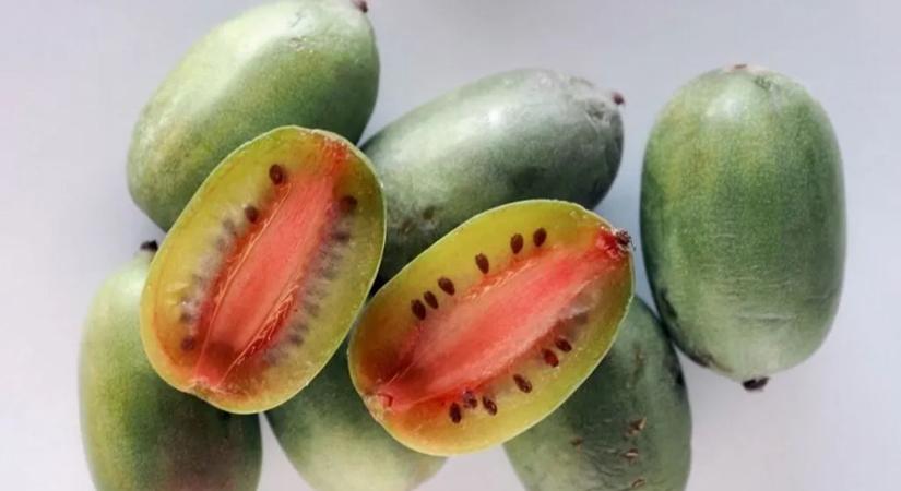 Alig ismerik, pedig a tüdőrák ellenszere lehet ez a gyümölcs