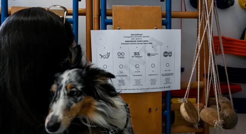 Grafikonokon mutatjuk a Tisza elsöprő győzelmét