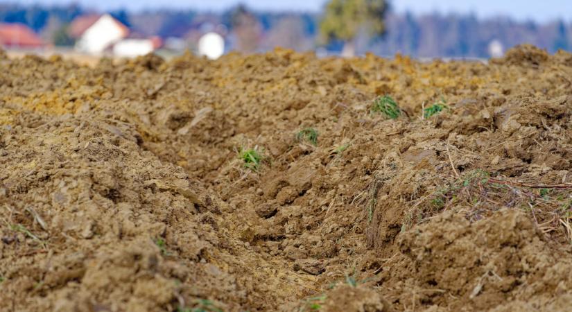 Kiderült, mennyi eső érkezhet a következő napokban: ez vár most ránk
