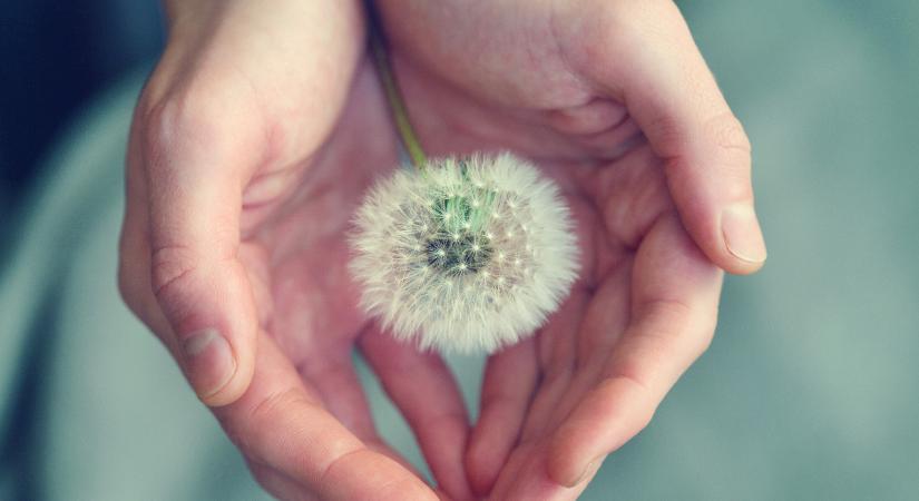 Napi horoszkóp 2026. április 14: a Halak Hold csak jó fényszögeket kap