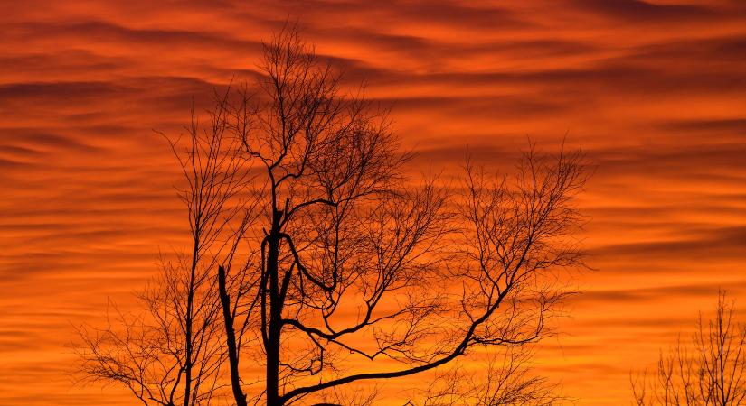 Hatalmas adag szaharai por érte el a Kárpát-medencét, ami teljesen átírja a heti időjárást - részletes időjárás előrejelzés