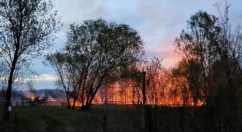 Hatalmas tűz pusztított egy benzinkút mögötti területen Szabolcs vármegyében, több egység érkezett a helyszínre