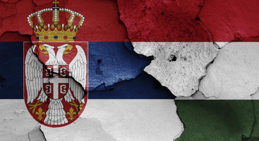 Valósággal felrobbant a szerb internet Magyar Péter győzelmétől, ennyi fajta vélemény még itthon sincs