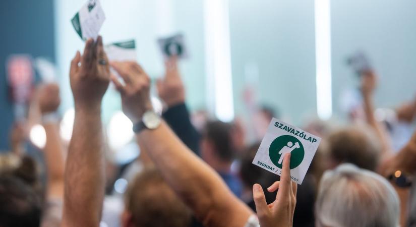 Kutyát sem érdekelt két törpepárt vasárnap