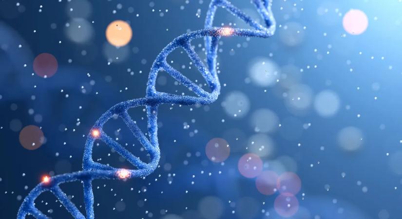 „Viccből csináltam egy DNS-tesztet, de az eredmény teljesen ledöbbentett”