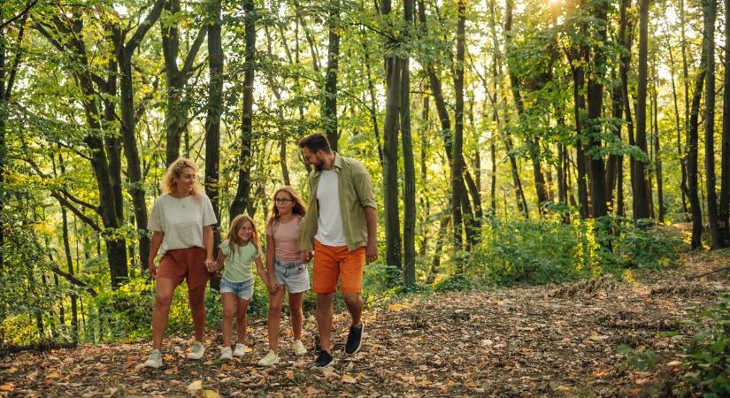 Várkastélyok és lombkoronasétányok – Tavaszi bakancslista kisgyermekes családoknak