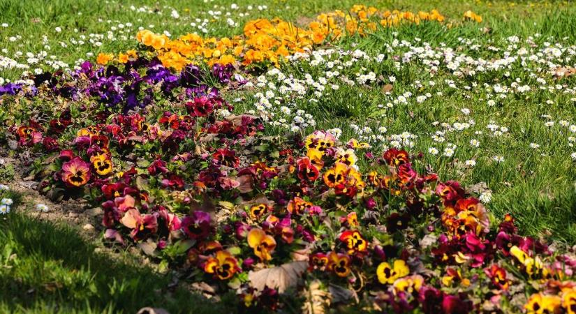 Nem minden az, aminek látszik – tartogat fordulatot a keddi idő