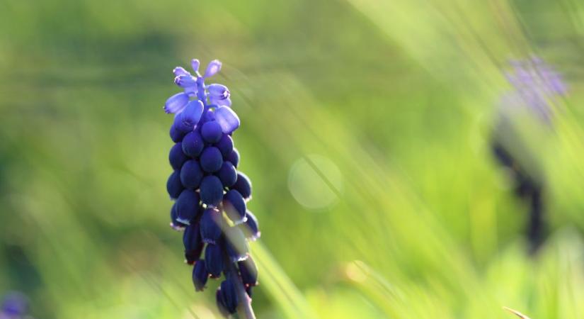 Erősen felhős, de tavaszi meleg idő várható