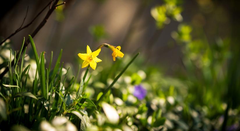Borús, felhős marad felettünk az ég