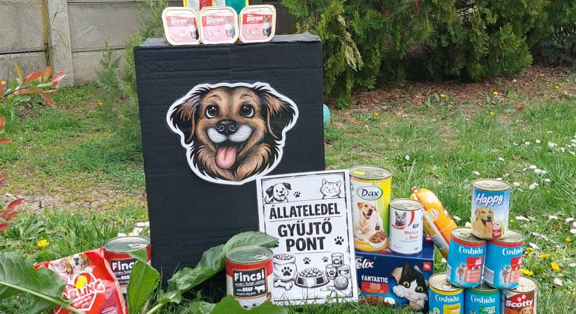 Állatvédőknek gyűjtenek az Észak utcai óvodában