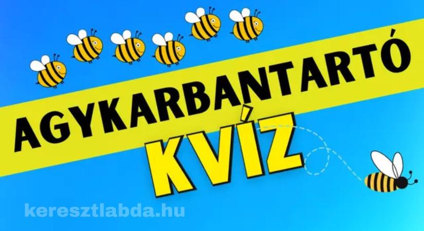 Napi agykarbantartó feladat: Hányadik helyen volt a méhecske? Nézd meg jól, mielőtt válaszolsz