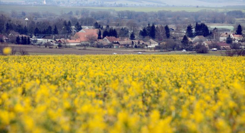 Ilyen időnk lesz a hét végéig