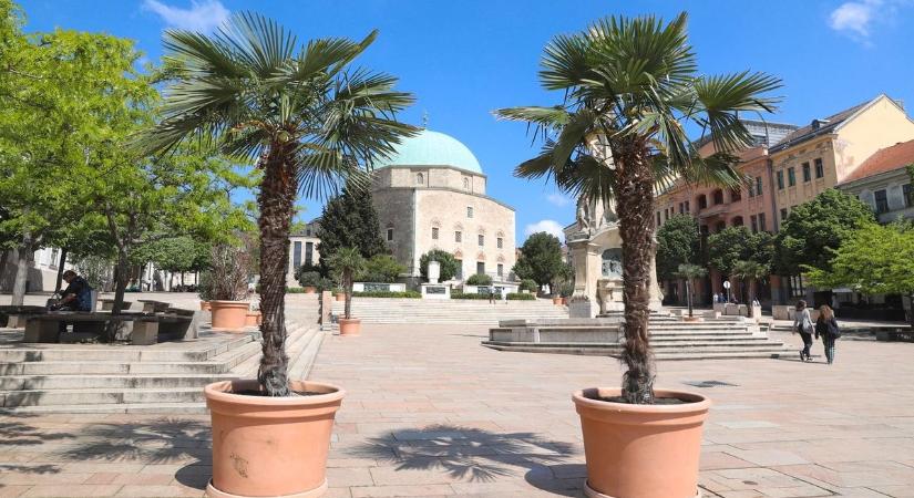 Hétvégi időjárás: visszatér a jó idő, de lehet egy kis bökkenő