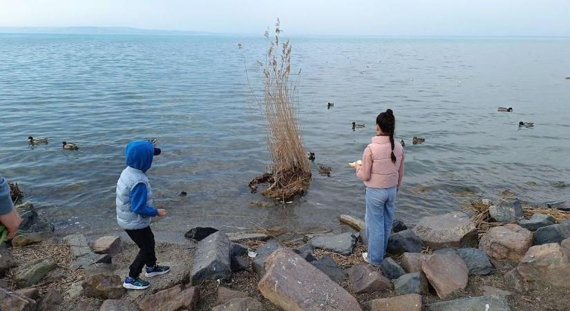Felhők és záporok: még várat magára az igazi tavasz