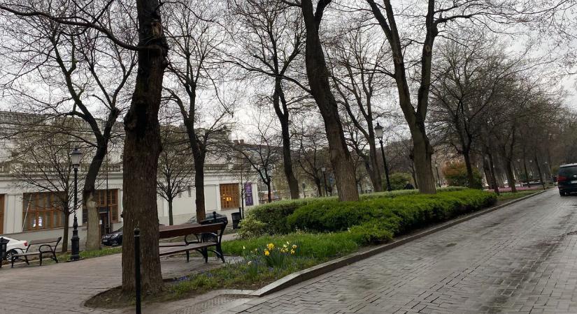 Lezárják a Rákóczi utat: se gyalog, se biciklivel nem mehetsz be, a buszok is kerülnek