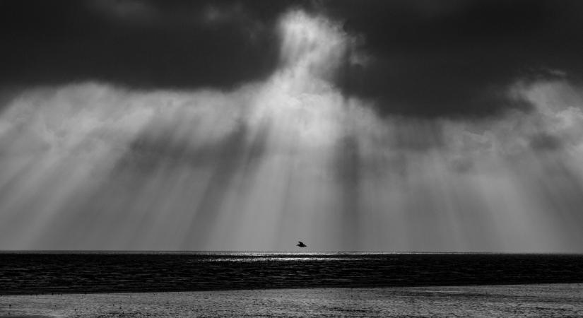 Barlangban rekedt a fiatal apa, ezt látta halála előtt