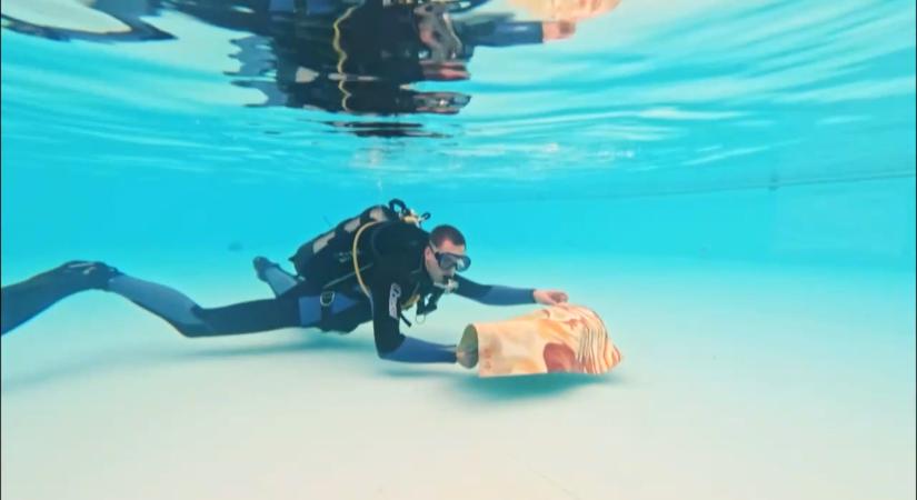 Nemsokára megnyílik Magyarország első víz alatti festménykiállítása