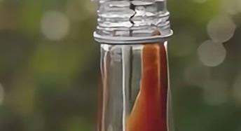 Egy hajtás, pár korty – A nap videója