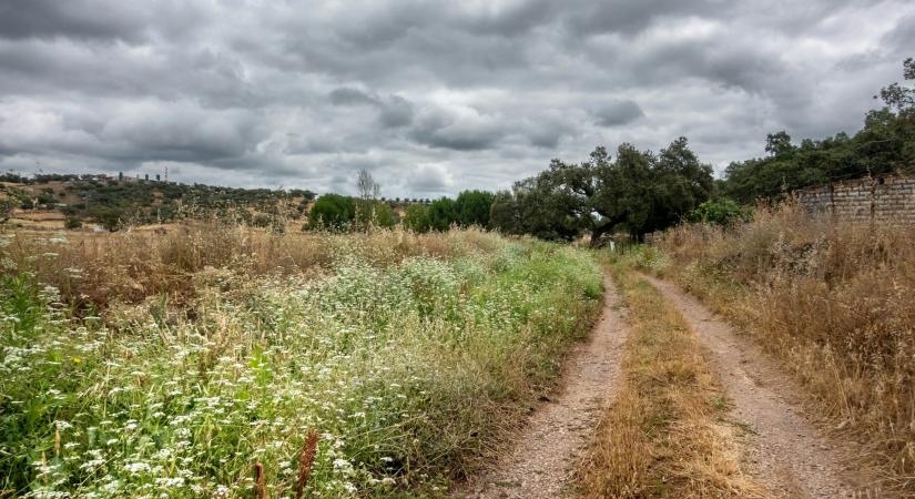 Időjárás 2026. április 14.: Meleg, de felhős és szeles napra ébredünk
