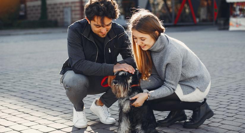 Háborognak a nagyszülők: egyre gyakoribb a „DINKWAD” jelenség a fiatalok körében