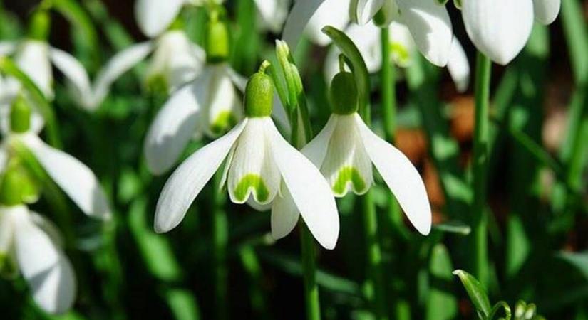 Hiszi, nem hiszi? Napi horoszkóp: 2026. április 14., kedd