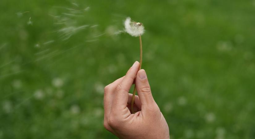 Orvosmeteorológia: ezt teszi velünk a szaharai por és a viharos szél