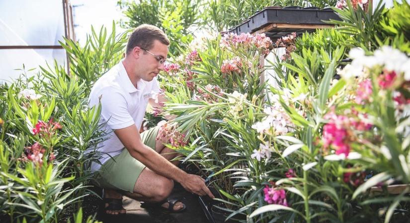 Bénulás és szívhalál a kertekben: a gyereket és kutyát oda ne engedd ezekhez a növényekhez