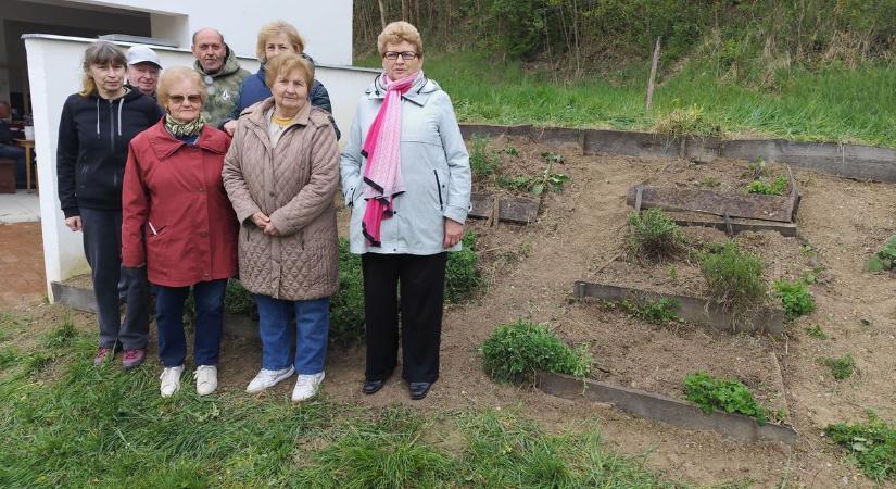 Újra élet költözött a botfai kertbe: összefogtak a zalaegerszegi kertbarátok
