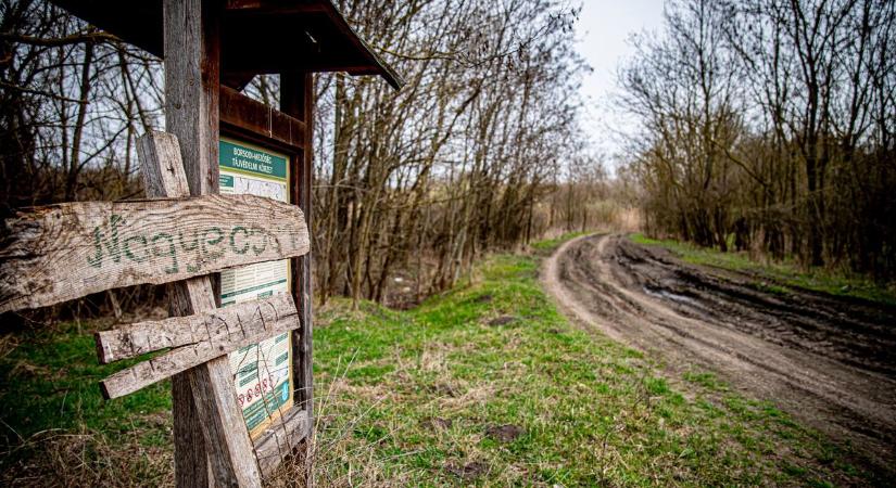 Ön tudja, melyik az a vármegyebeli falu ahonnan burcsik vitte el a gyerekeket minden reggel?