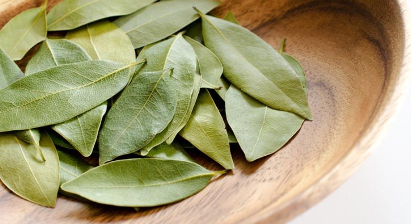 Égettél már valaha babérlevelet a lakásban? Próbáld ki, varázslatos dolgot fogsz tapasztalni