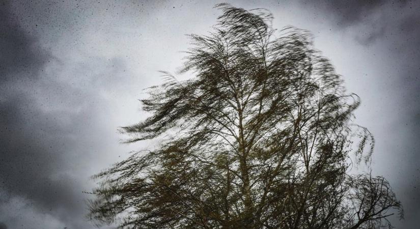 Nem ússzuk meg szárazon: záporok zavarják meg a tavaszi időjárást