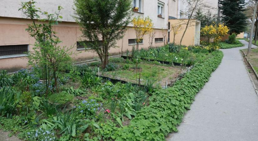 Tündéri kis oázist alakítottak ki egy szekszárdi panelsor lakói