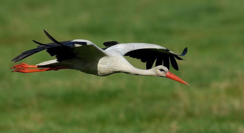 Megszólaltak a szakértők: Ezért tűnhetnek el végleg a kémények koronázatlan királyai Hevesből