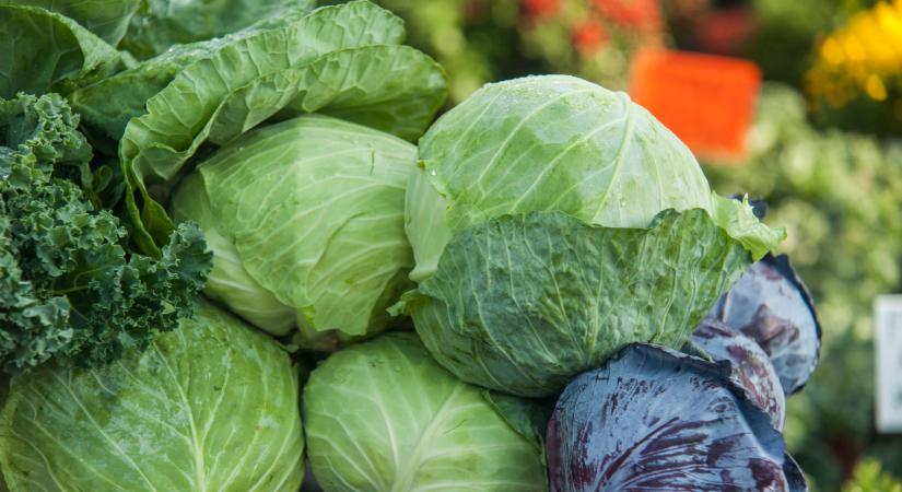 Szabadulnának a készletektől az ukránok: fillérekért adják ezt a zöldséget