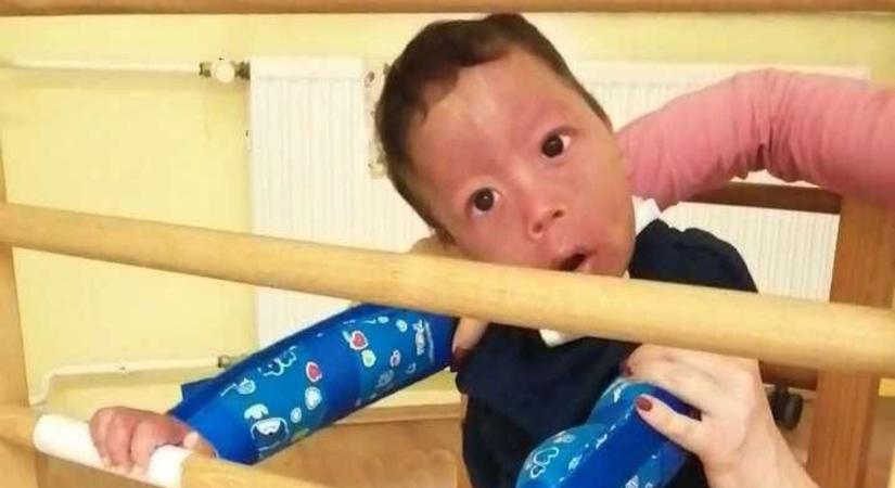 „Azt mondták, nincs értelme, most mindenki döbbenten néz!” – a halálos beteg Ábel felkelt és jár!