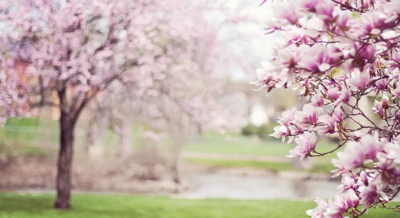 Tartogat meglepetéseket az időjárás a héten, nem élvezhetjük felhőtlenül a tavaszt