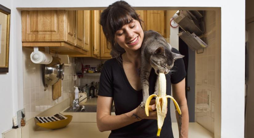 Nem hinnénk, de ezt teszi a banán a szervezetünkkel