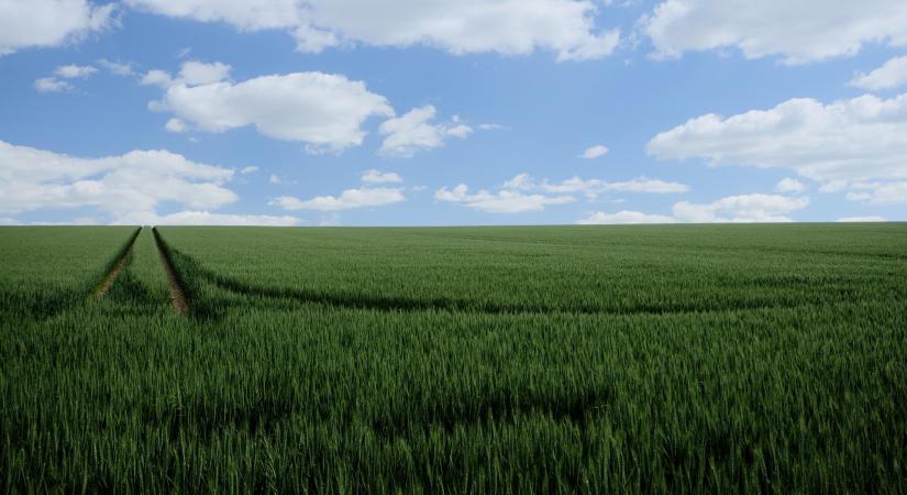 Csökkentsük az aszálykárt!