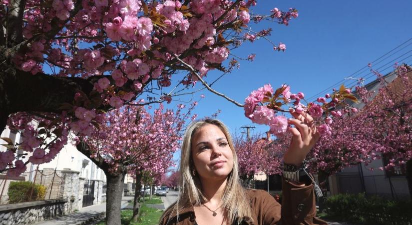 Mérges kígyók és piócák: lesz idő, amikor visszasírjuk őket