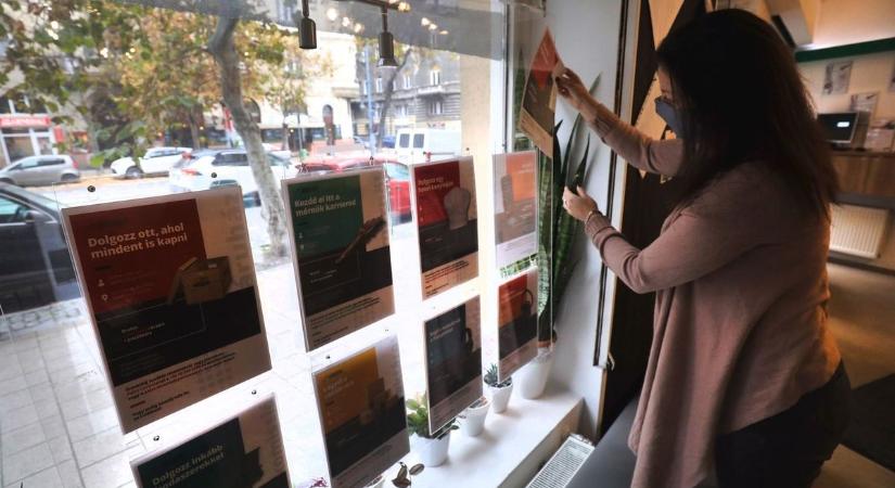 Három hónap vagy másfél év? Ennyi idő alatt lesz meg az új állás Somogyban