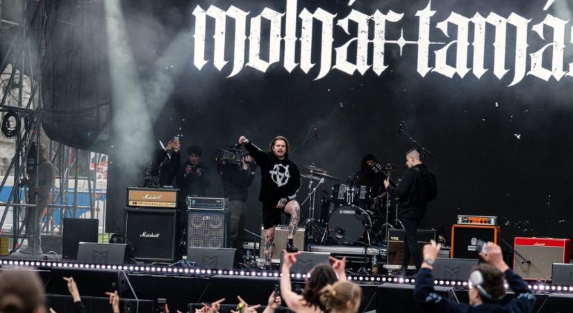 Molnár Tamás: A magyarokat nem a gyomruk, hanem a szívük és a gerincük hívta szavazni